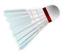 Federball