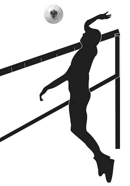 Volleyball Netz